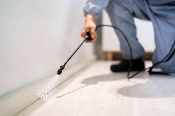 Licensed Termite Control service in Gardiner, ME - Nex Pest Control
