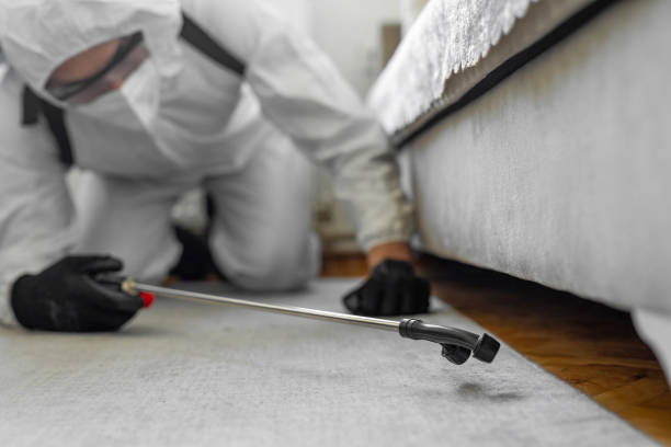 Professional Termite Control technician working in Gardiner, ME