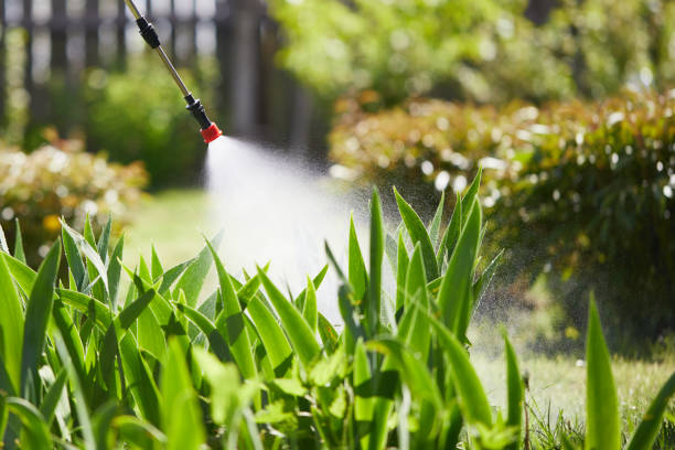 24/7 Emergency Termite Control experts in Gardiner, ME