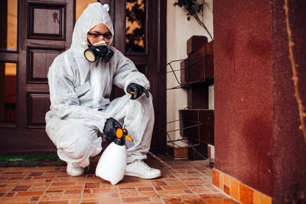 Reliable Termite Control contractor in Gardiner, ME by Nex Pest Control