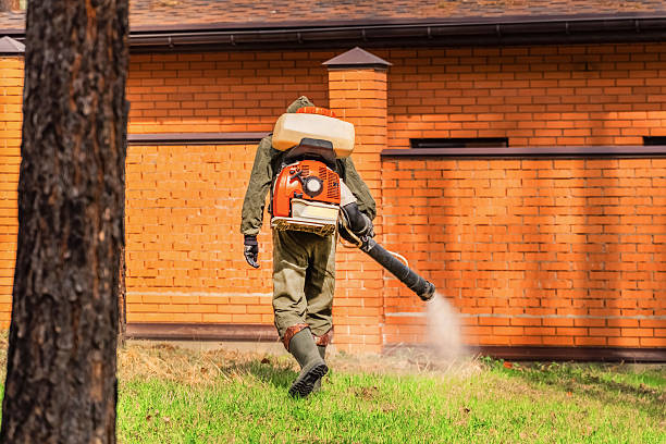 Top rated local Termite Control specialists in Gardiner, ME